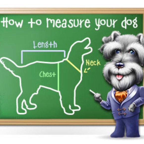 BaxterBoo Dog Hoodie | Black | Size Large - Picture 9 of 9